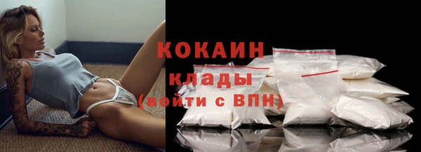 молекула духа Алексин