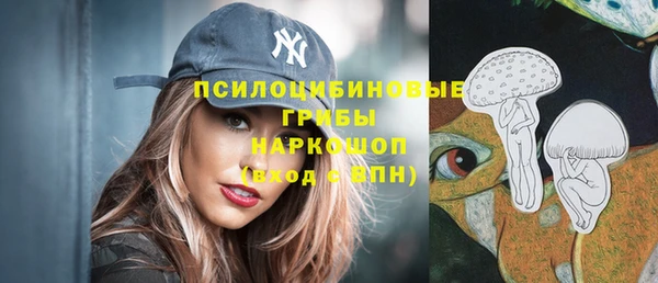 молекула духа Алексин